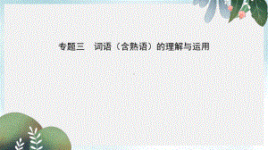 中考语文总复习第一部分积累与运用专题三词语含熟语的理解与运用试题部分课件(同名502).ppt