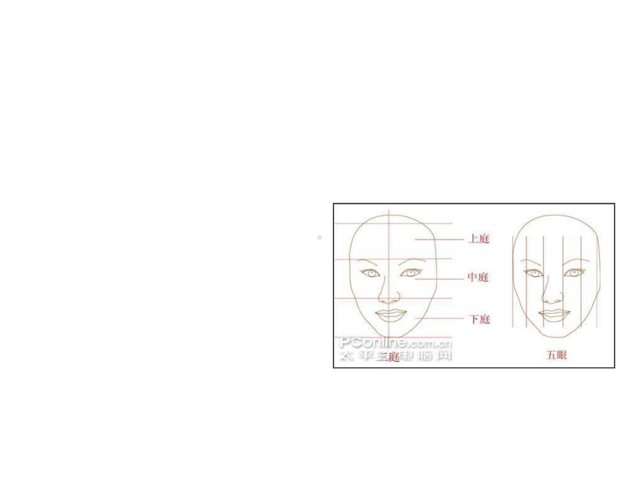 三庭五眼与黄金分割-课件.ppt_第3页