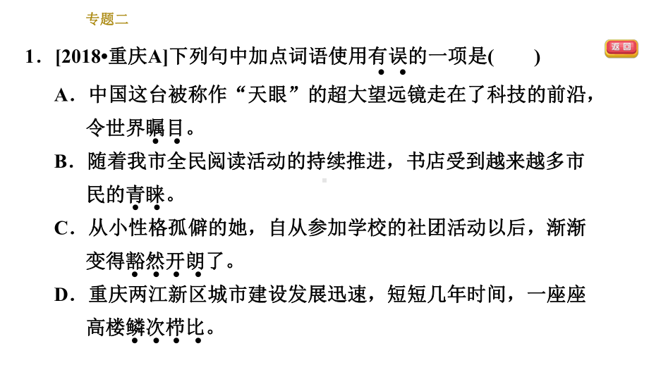 人教部编语文八年级上册期末专项复习课件专题二词语的理解与运用.ppt_第3页