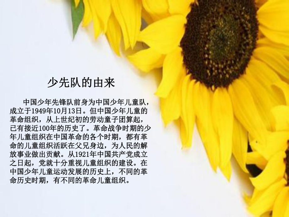 《我是光荣的少先队员》教育课件.ppt_第3页