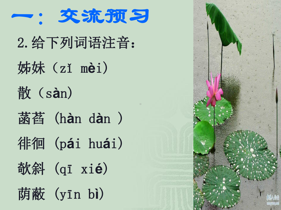 《荷叶母亲》课件-2.ppt_第3页