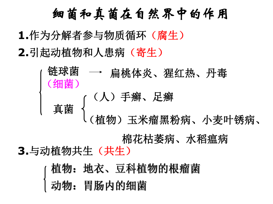 人类对细菌和真菌的利用课件.pptx_第1页