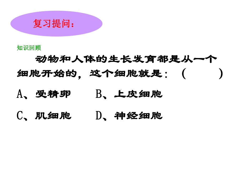 植物体的结构层次课件.ppt_第2页