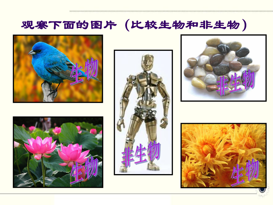 部编人教版七年级生物上册《认识生物生物的特征》教学课件.ppt_第2页