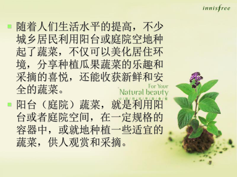 阳台庭院蔬菜种植课件.ppt_第2页