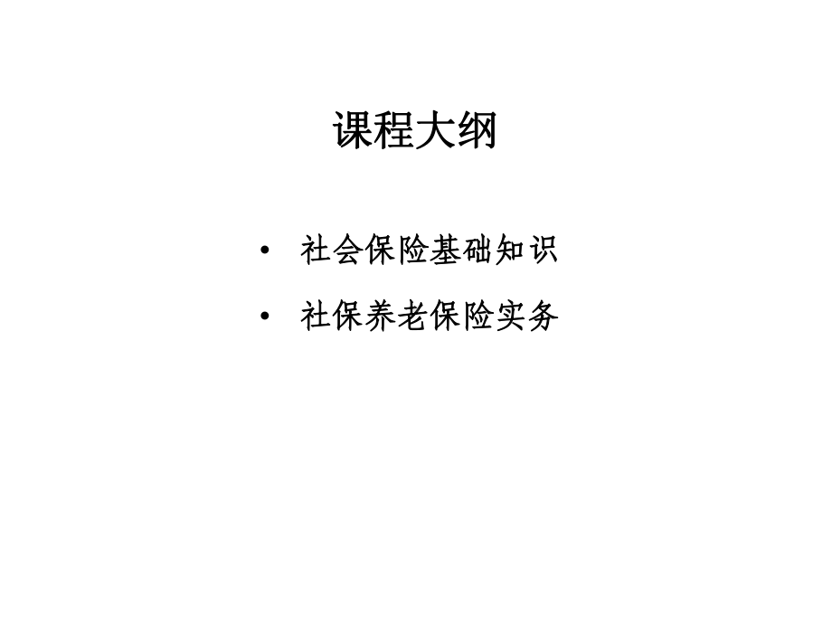 社保养老简析课件.ppt_第2页