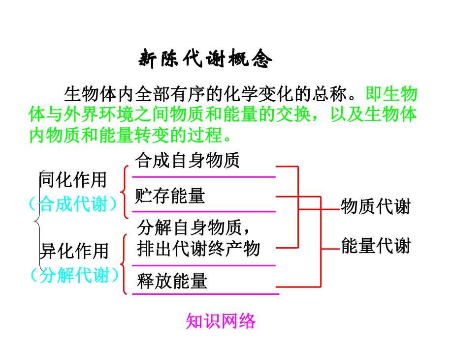 yong酶和ATP的复习MicrosoftPowerPoint演示文稿.ppt_第3页