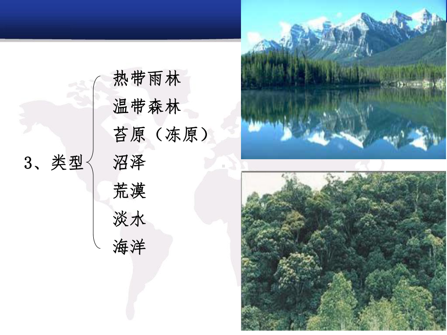 生物群落课件(浙教版科学九年级下册).ppt_第3页