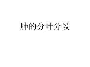 肺的分叶分段课件.ppt