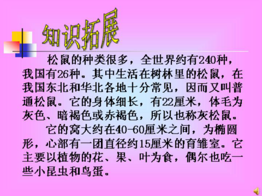 小学语文《松鼠》课件.ppt_第3页