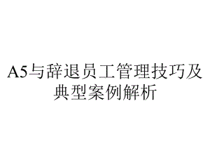 A5与辞退员工管理技巧及典型案例解析.ppt