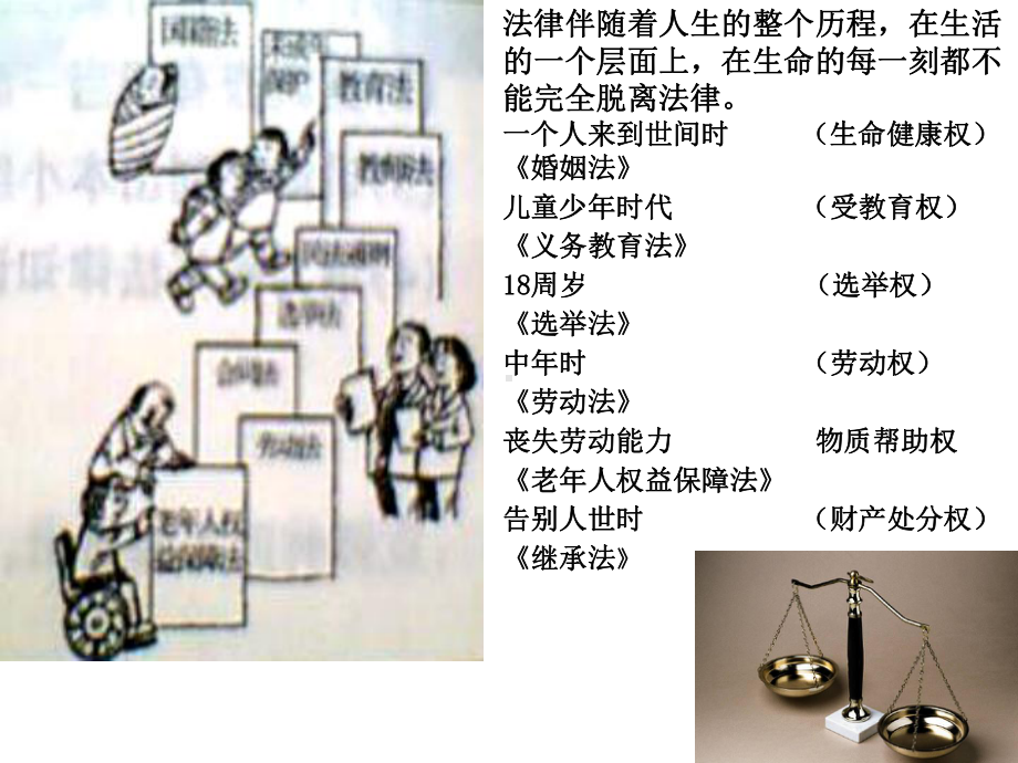 《生活离不开法律》课件-02.ppt_第2页