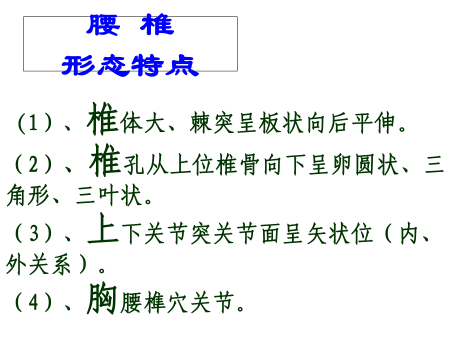 椎管内麻醉术式的形态学基础课件.ppt_第3页