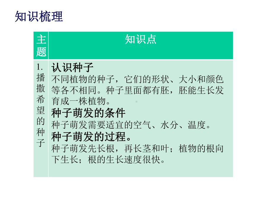 四年级下册科学课件-第一单元-植物的一生-复习课件-湘科版(共20张PPT).pptx_第2页