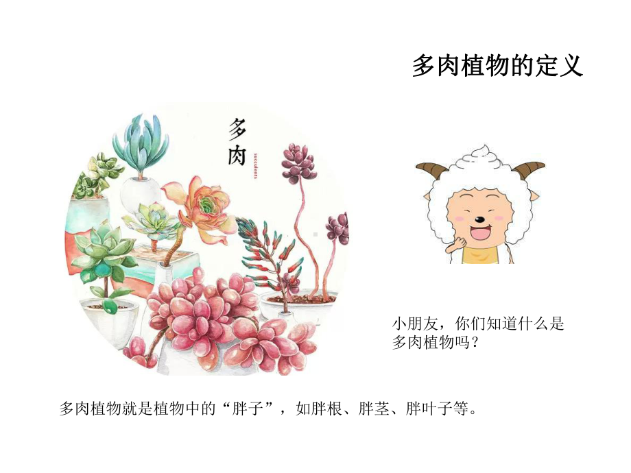 多肉植物(幼儿园)课件.ppt_第1页