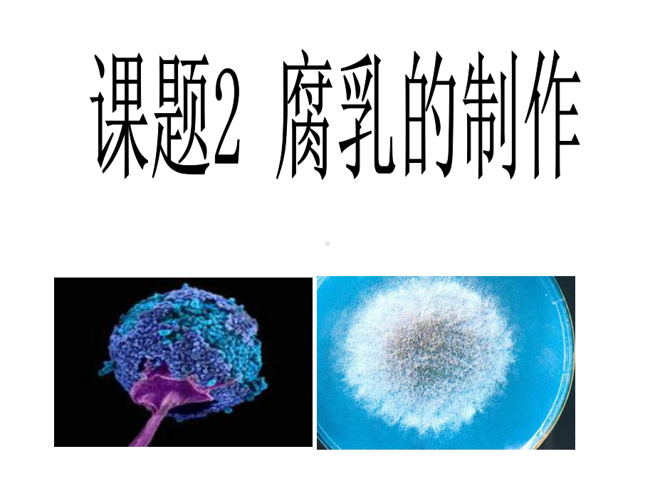 高中生物课题2腐乳的制作复习课件.ppt_第2页