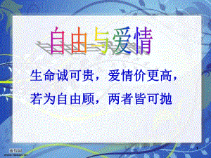 我愿意是急流课件.ppt