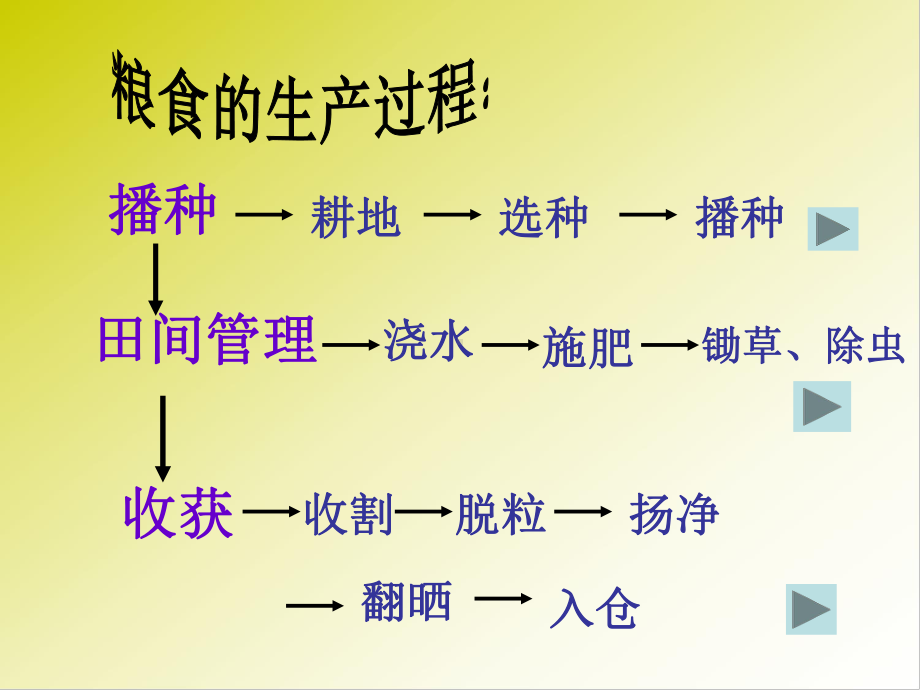 《节约粮食、杜绝浪费》主题班会课件2.ppt_第3页