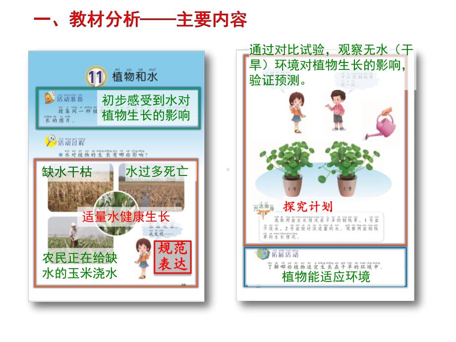 二年级上册科学植物和水(青岛版六年制).pptx_第2页