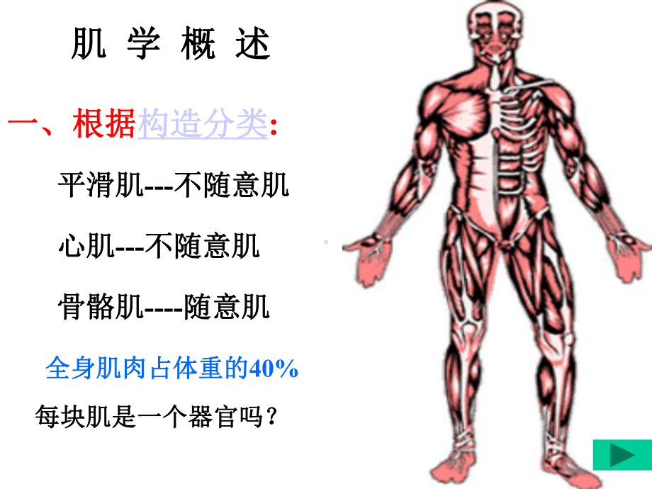 系统解剖学：肌学总论、全身肌课件.ppt_第3页