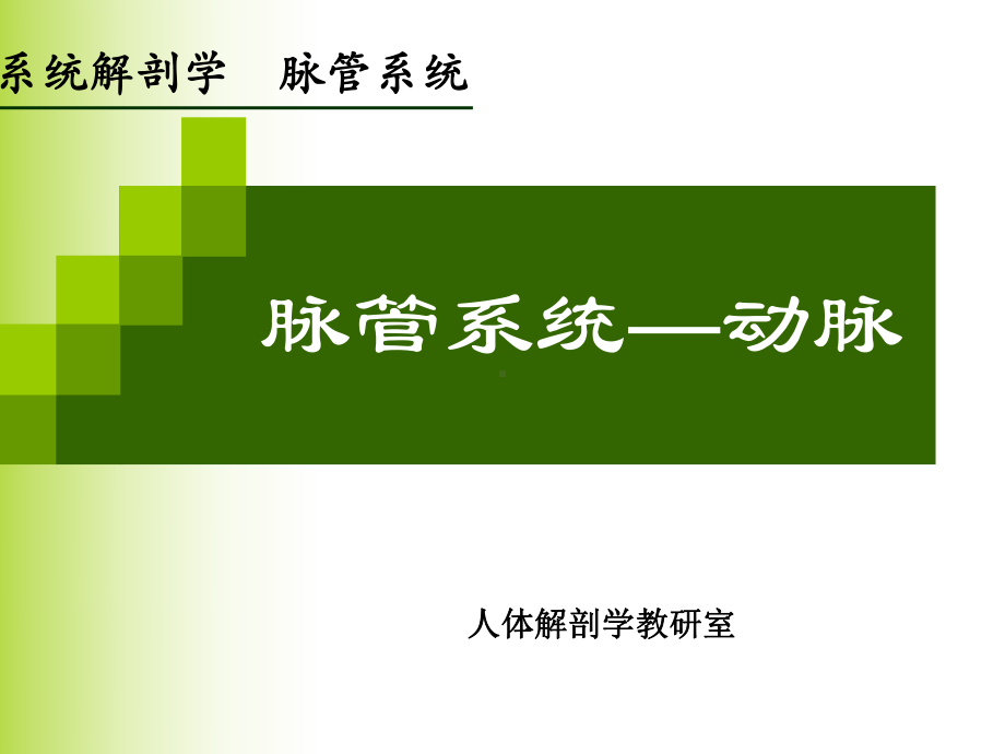 系统解剖学脉管系统课件.ppt_第1页