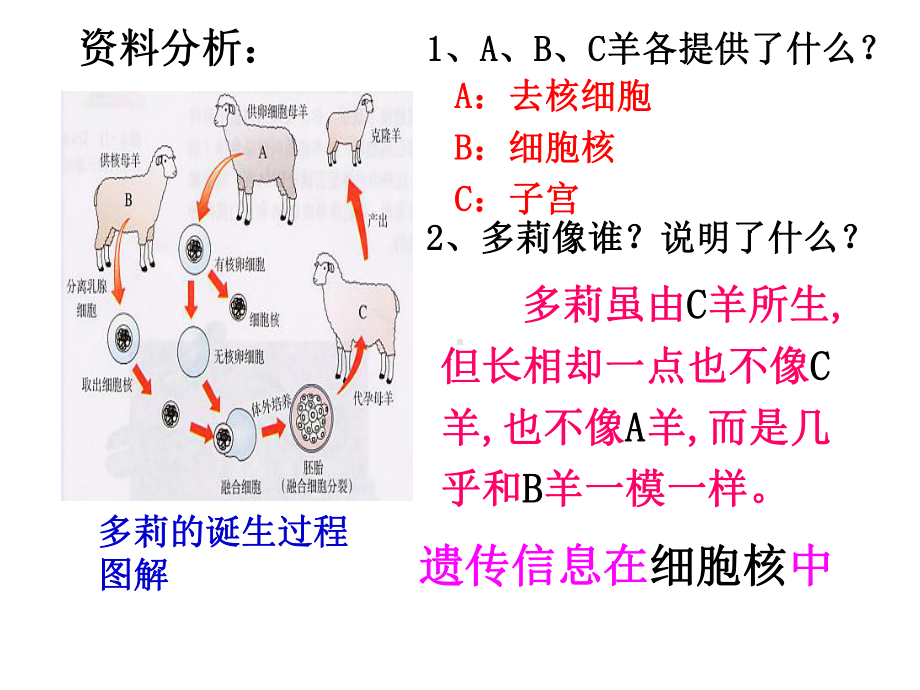 浙教版九年级科学下册《遗传与进化》p课件.ppt_第3页