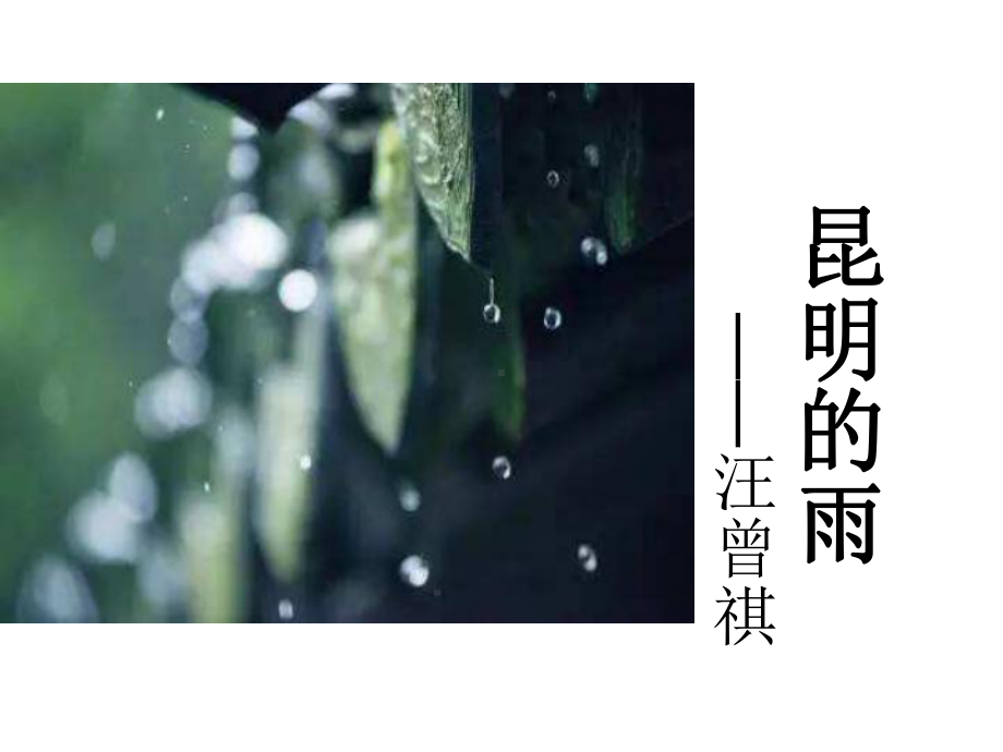 人教部编版八年级上册语文《昆明的雨》公开课课件.ppt_第1页