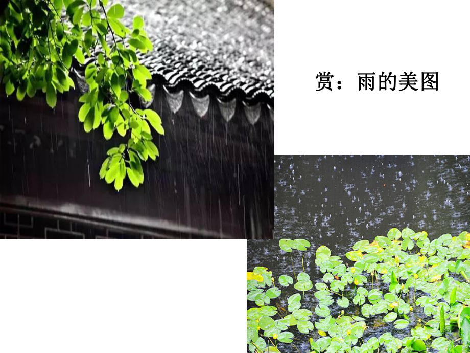 人教部编版八年级上册语文《昆明的雨》公开课课件.ppt_第2页