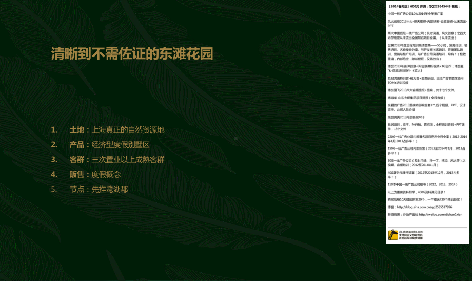 上海博加-东滩花园推广思考-购案.ppt_第3页