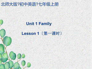 省一等奖Unit1《Lesson1PhotosofUs》课件(公开课).ppt