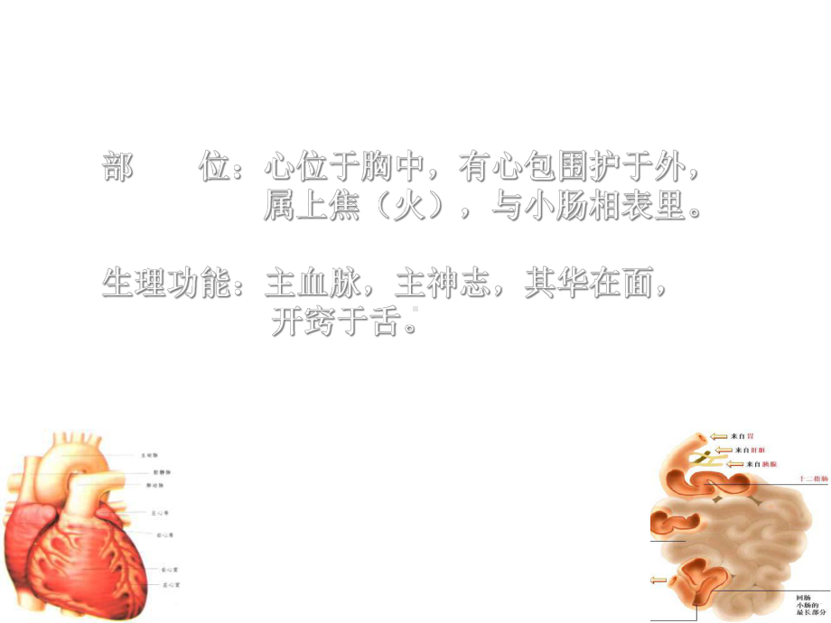 中医学：心与小肠-心与小肠辨证.ppt_第2页