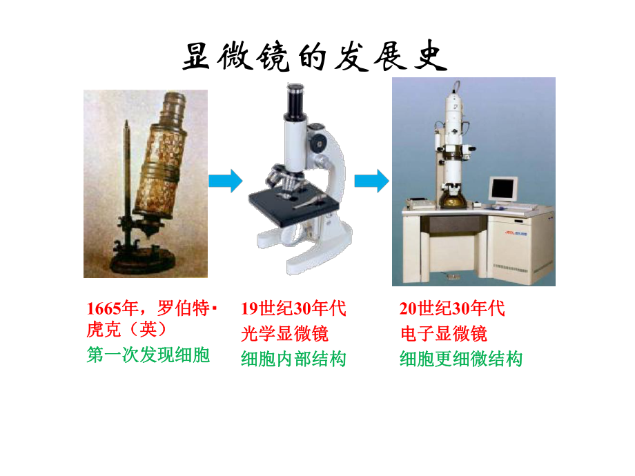 人教版七年级上册生物练习使用显微镜课件-2.pptx_第3页