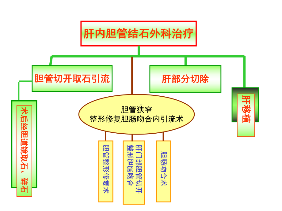 术后胆道镜取石在肝内胆管结石治疗中的作用反思医学课件.ppt_第2页