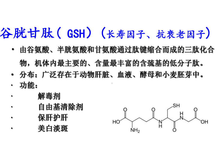 活性肽和蛋白质课件.ppt_第2页