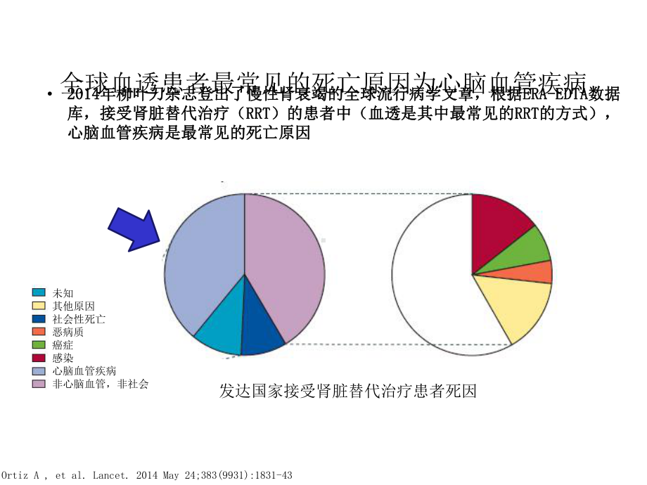 平稳降压-氨心透析.pptx_第3页