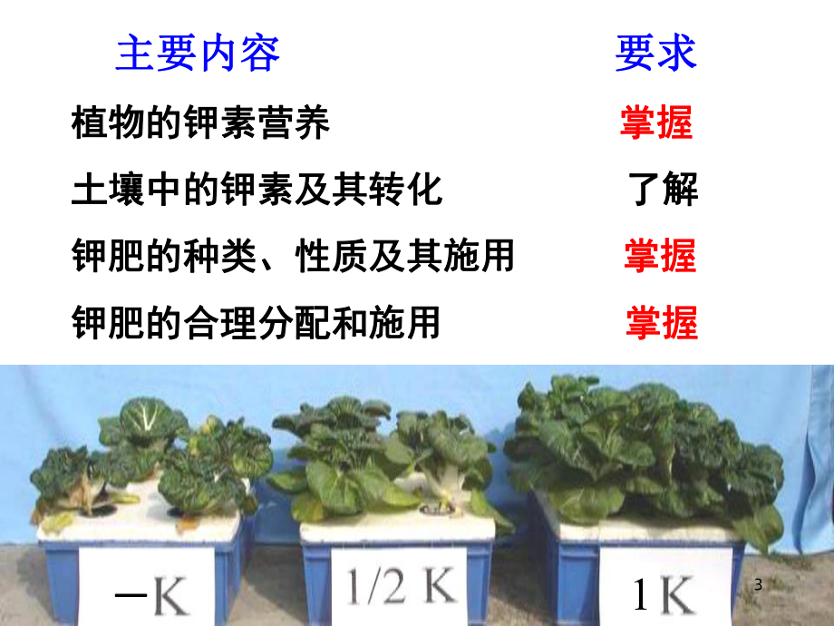 植物的钾素营养与钾肥课件3.ppt_第3页