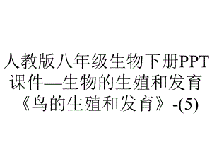 人教版八年级生物下册课件—生物的生殖和发育《鸟的生殖和发育》.ppt