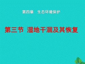 高中地理第四章生态环境保护43湿地干涸及其恢复课件.ppt