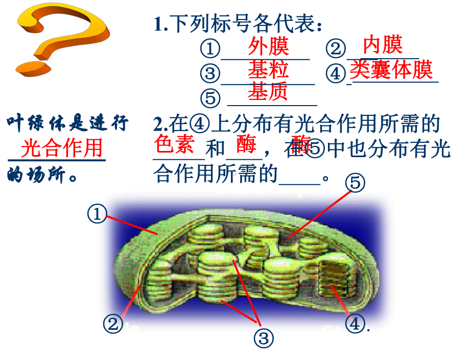 人教版教学课件光合作用课件人教版.ppt_第3页