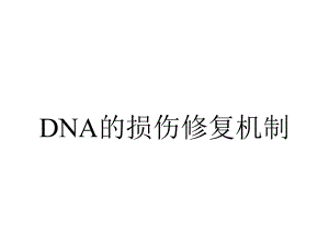 DNA的损伤修复机制.ppt