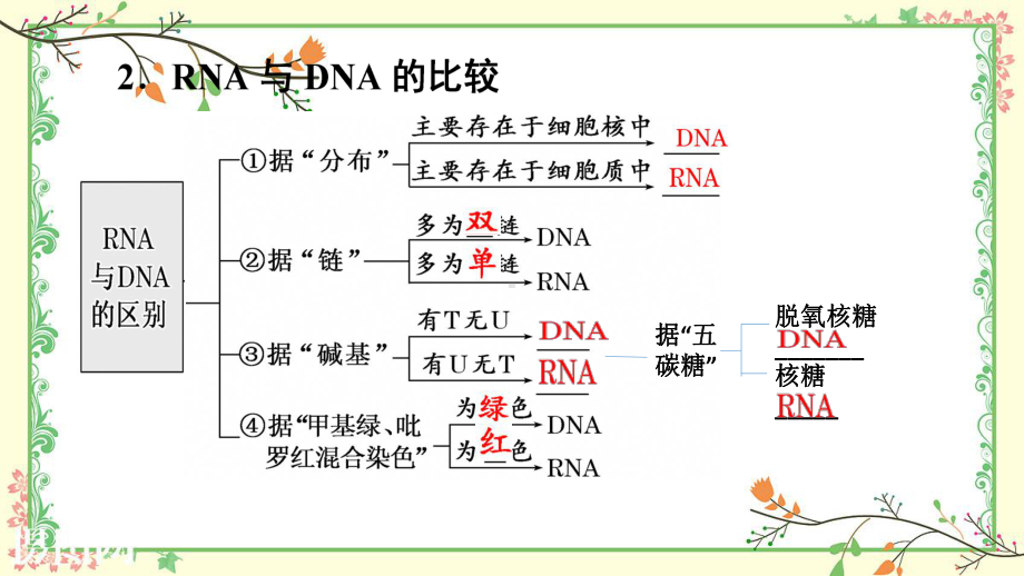 一轮复习课件必修2第四章基因的表达.pptx_第3页