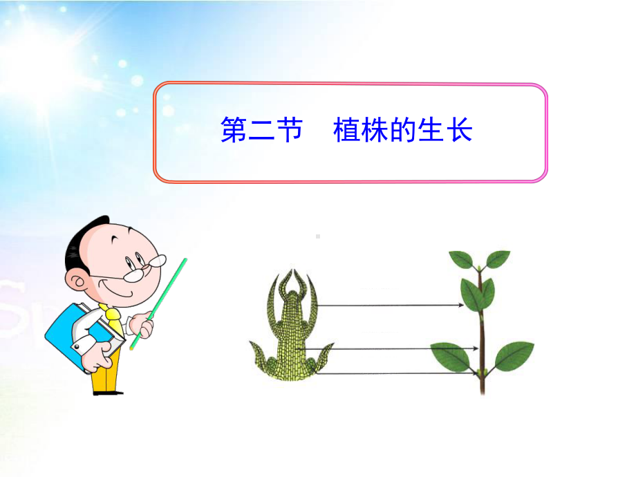 《植株的生长》课件2.ppt_第1页