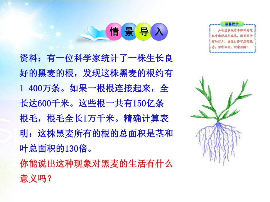 《植株的生长》课件2.ppt_第2页