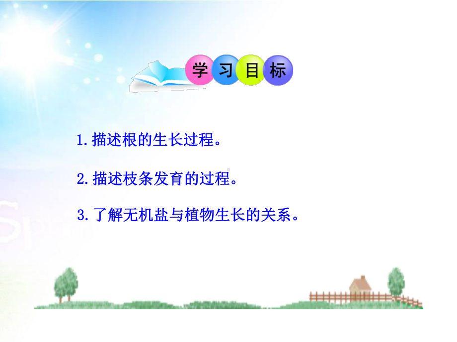 《植株的生长》课件2.ppt_第3页