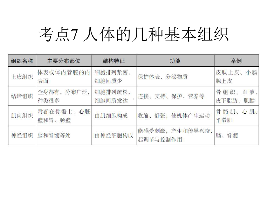 考点7人体的几种基本组织课件.pptx_第2页