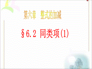 青岛版《同类项》课件.ppt