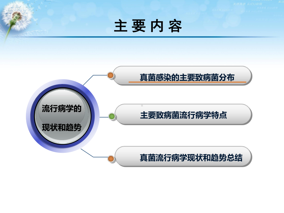 真菌流行病现状趋势及其临床价值课件精选.ppt_第3页