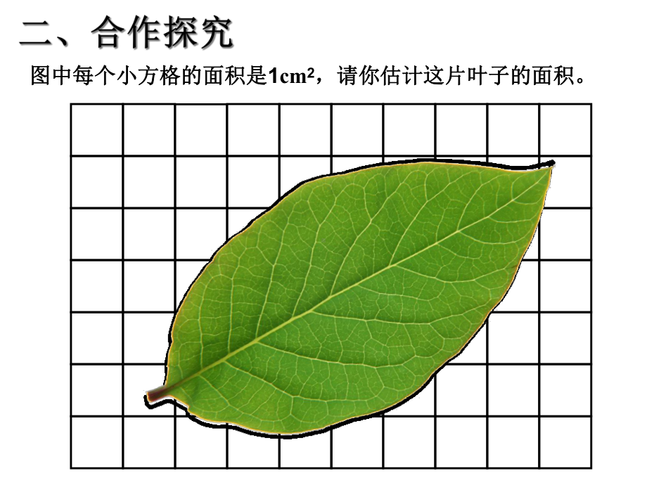 人教版五年级数学上册《估算不规则图形的面积》课件-2.ppt_第3页