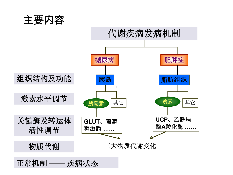 糖尿病的发病机制课件.ppt_第2页