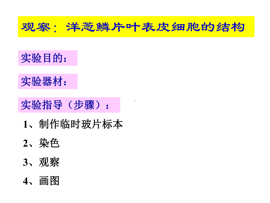 苏教版生物七年级上册植物细胞的结构与功能课件.pptx_第2页